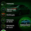 Estetica automotiva (serviços premium)