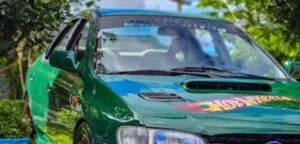 Vitek Cair Detail — Detalhamento e Limpeza